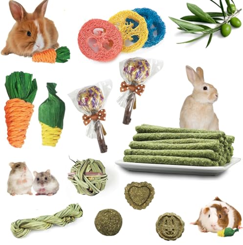 Shalwinn 17 Pcs Jouet pour Lapin à Mâcher, Bâtonnets...