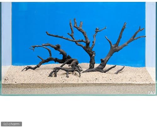 Amazon 形状お任せ 煮込み済み 極上流木 Mサイズ 約 30cm 3本セット 60cm水槽向け 木 通販 Amazon 形状お任せ 煮込み済み 極上流木 Mサイズ 約 30cm 3本セット 60cm水槽向け 木 通販