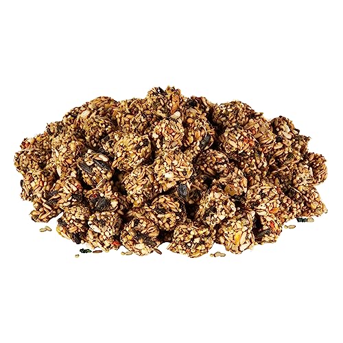 Kaytee Granola Bites with Superfoods Spinach and Carrot for Rats, Mice, Hamsters, Gerbils, Rabbits, Guinea Pigs and Chinchillas, 4.5oz
