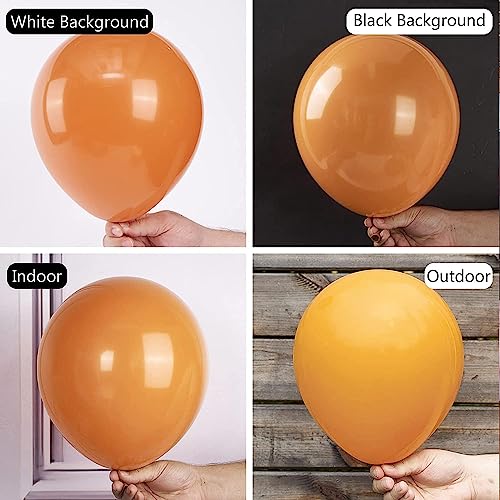 Image of 50 Pcs Retro Balloons Made of Strong Rubber (Retro Orange)