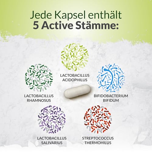 Kulturen Komplex Probiotika Darmsanierung - 180 Kapseln - 6 Monate Vorrat - Hochdosierte BacterienKulturen mit Lactobacillus Acidophilus & Bifidobacterium - Nu U Nutrition