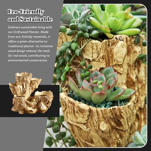 Jardinière rustique intérieure extérieure pour petites plantes