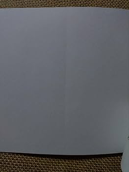 Amazon.co.jp: Aimer「Midnight Sun」特典オリジナル絵本「今日