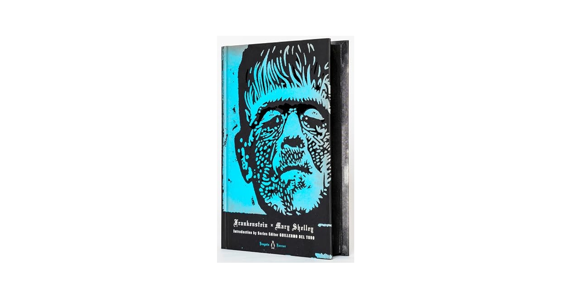 フランケンシュタイン Frankenstein by Mary Shelly Amazon.com: Frankenstein: 9798340808059: Shelley, Mary: Books