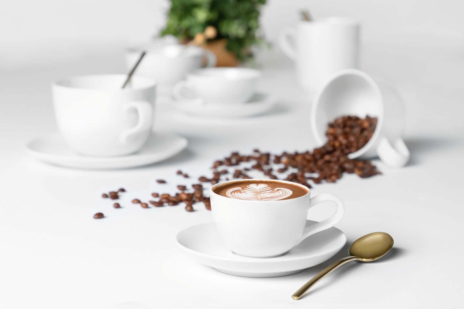 Seltmann Weiden 001.764446 Kaffeeservice 18-teilig, Porzellan, Weiß