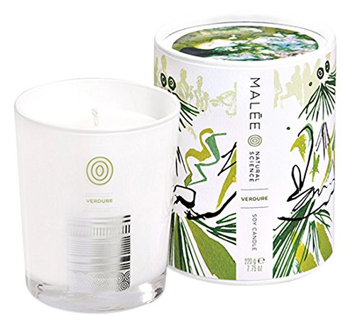 Bougie Verdure Édition Limitée 220g pour créer une ambiance relaxante de jardin après la pluie