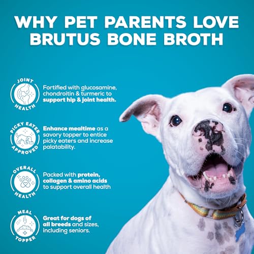 Image of Brutus Broth Dog Food Topper - Instant Bone Broth Liquid for Adult Dogs - Supports Hip and Joint Function - Human-Grade Quality, Serve Dry or Wet - Beef Flavor, Pack of 2