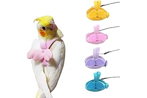 Conure Leash: A Dependable Guide for Your Feathered Friend's Adventures