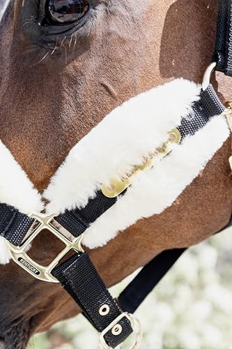 Cabezada halter de lana natural y nylon reforzado para caballo cob 4