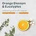 ATTITUDE Hand Cream, EWG Verified, Plant and Mineral-Based, Vegan Personal Care Products, Orange Blossom & Eucalyptus Scent, 2.5 Fl Oz (Pack of 6)