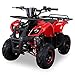 Produktbild Kinder Quad S-8 Farmer 125 cc Motor Miniquad 125 ccm Toronto (Rot)