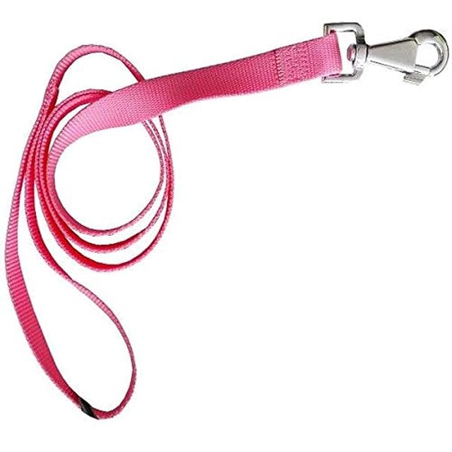 Foto 2 de 6 de Ferplast Correa Nylon Perro Club G20 120 Rosa