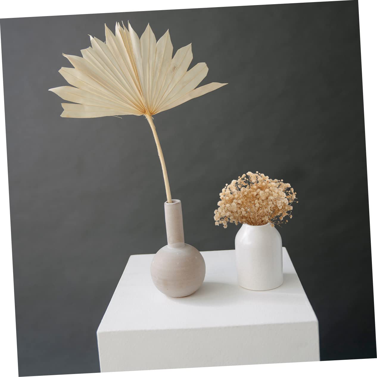 Cabilock 4 Stück 10 Schleierkraut Kleiner Strauß Babys Trockenblumenstrauß Gepresste Trockenblumen Weiße Trockenblumen Rohrkolben Trockenblumen Zum Basteln Beutel Beige Getrocknete Blumen