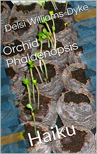 Orchid Phalaenopsis: Haiku (English Edition)