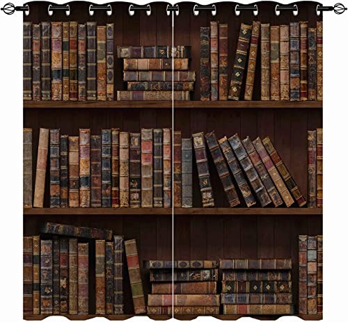 HATEGE Cortinas Opacas Biblioteca Impresión 3D Cortina Opaca Estantería Cortinas con Ojales Termicas Aislantes Frio y Calor para Dormitorio Salon 2 Piezas 75x166 cm (AnxAl)