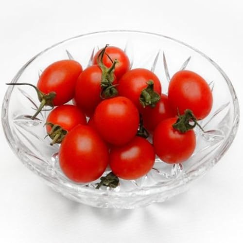 [先行予約]完熟 ミニトマト 2kg 果物のような甘さと美味しさキャロルセブン|ミニトマト キャロルセブン 糖度