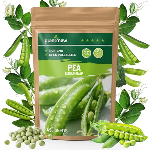 PLANTMEW Sugar Snap Pea Seeds for Planting - Heirloom Open Pollinated - Sweet & Crunchy Edible Pods for Fresh Eating - Easy Grow Vertical Vine for Containers Trellis & Home Garden