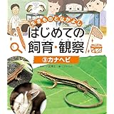 カナヘビ３　生きものとなかよし　はじめての飼育・観察