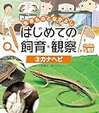 カナヘビ３　生きものとなかよし　はじめての飼育・観察