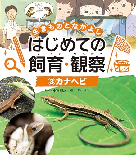 カナヘビ3 生きものとなかよし はじめての飼育・観察