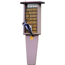 Birds Choice 2-Cake Pileated Suet Feeder with Brown Top
