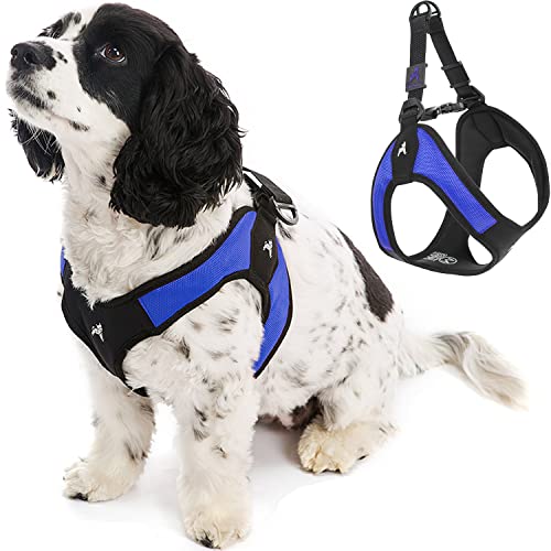 Our Top 15 Best choke free harness for boston terrier
