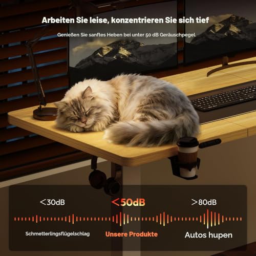 SANODESK Höhenverstellbarer Schreibtisch elektrisch 160x60 cm – Ansicht 5