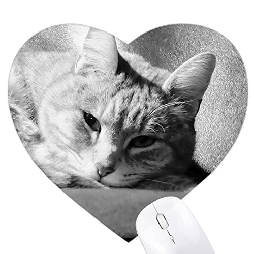 ̏ȊDF̔Lʐ^ n[g^}EXpbhSpbh