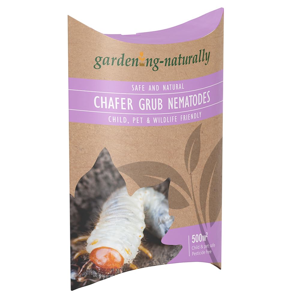 Chafer Grub Nematode Lawn Treatment 500 sq.m Natural Control of Chafer Beetle Larvae in Lawns – Pet and Child Safe