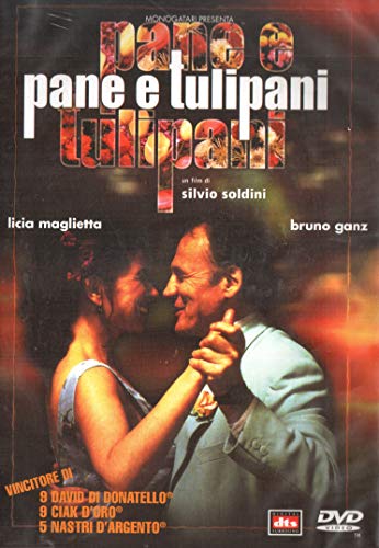  Pane E Tulipani
