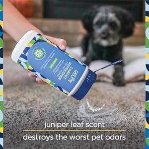 Carpet Refresher Powder Carpet Deodorizer Powder Pet Safe  Carpet Powder Pet Odor Eliminator for Carpet with Plantbased Juniper Leaf Scent  Made in the Usa  16oz pack of 3  Cucciolini Doodles Carpet refresher powder carpet deodorizer powder pet safe  carpet powder pet odor eliminator for carpet with plant based juniper leaf scent  made in the usa  16oz pack of 3   cucciolini doodles