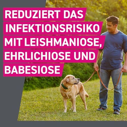 FRONTLINE TRI-ACT Hund L gegen Zecken, Flöhe & Mücken (20 bis 40 kg)