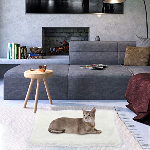 Couverture douillette pour animaux chaud et isolant pour hiver