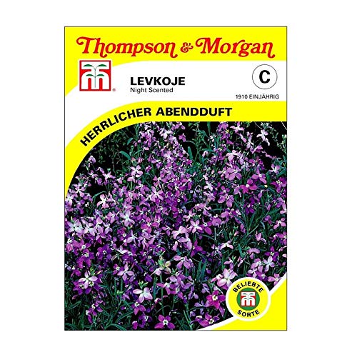 Thompson & Morgan - Flowers - Stocks Night Scented - 1000 Seed