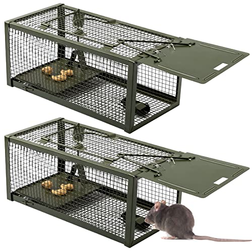 Qualirey MNA-QUALIREY-602 2 Pcs Live Rat Trap Humane Mouse Trap Mice Rat Cage Work For Small Animal Indoor And Outdoor Mouse Voles Hamsters Catch And Release cover