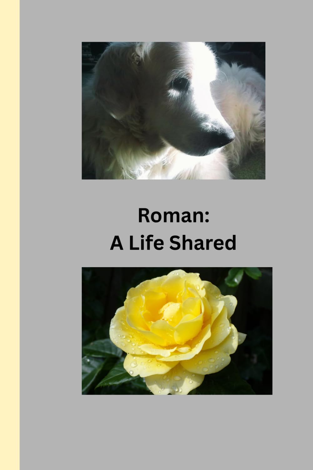 Roman: A Life Shared