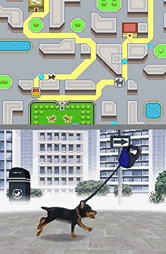 Nintendogs Teckel et ses amis pour s amuser en voyage sur DS