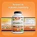 NaturaLife Labs Vitamin C with Vitamin D3, Zinc, Elderberry & Ginger Root – 1,700 mg per Serving – 100 Capsules, Vegan, Non-GMO, Gluten Free
