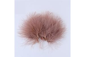 GoDdis Colorful Handmade Feathers for Cosplay