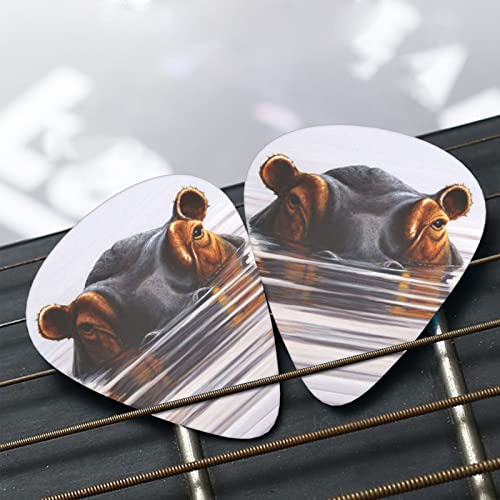 Horse Lot de 3 médiators en celluloïd coloré pour guitare basse, amateurs de musique, joueurs de guitare, guitares électriques et acoustiques 0,46 mm, 0,71 mm, 0,96 mm - Les Beatles, Paul McCartney, John Lennon, RIngo Starr, George Harrison Horse Lot de 3 médiators en celluloïd coloré pour guitare basse, amateurs de musique, joueurs de guitare, guitares électriques et acoustiques 0,46 mm, 0,71 mm, 0,96 mm – Image 8