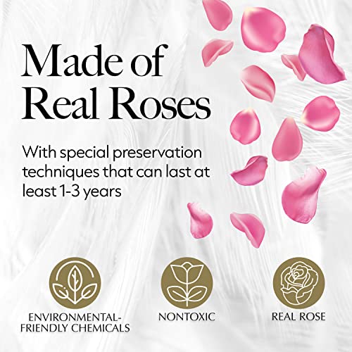 GLAMOUR BOUTIQUE 27 Flower Forever Heart Shape Box - Preserved Roses Gift for Her, Preserved Flowers, Pink - Thumbnail 3