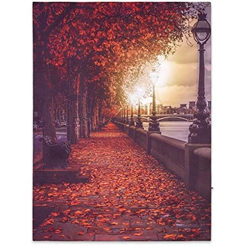 Nexos LED Wandbild Leinwandbild mit Beleuchtung Fotodruck Spree Promenade 30x40 cm Kunstdruck Leuchtbild Effekt-LED Herbst-Deko Park Flussufer LED-Bild Cover