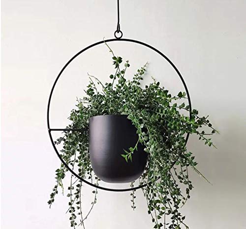 Cratone hangende plantenhanger, metaal, zwarte bloempot, plafond, hangende pot voor kamerplanten, vetplanten… - Image 5