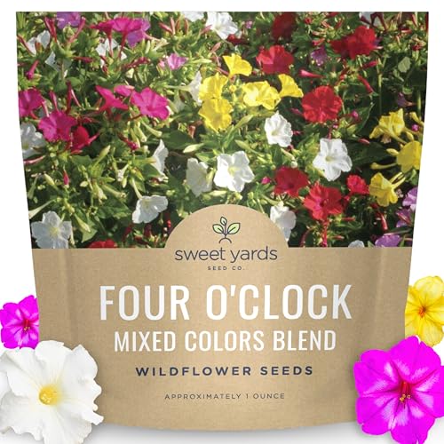 Grow Four O'Clocks From Seed: Say Hello to Beautiful Blooms - Peace ...
