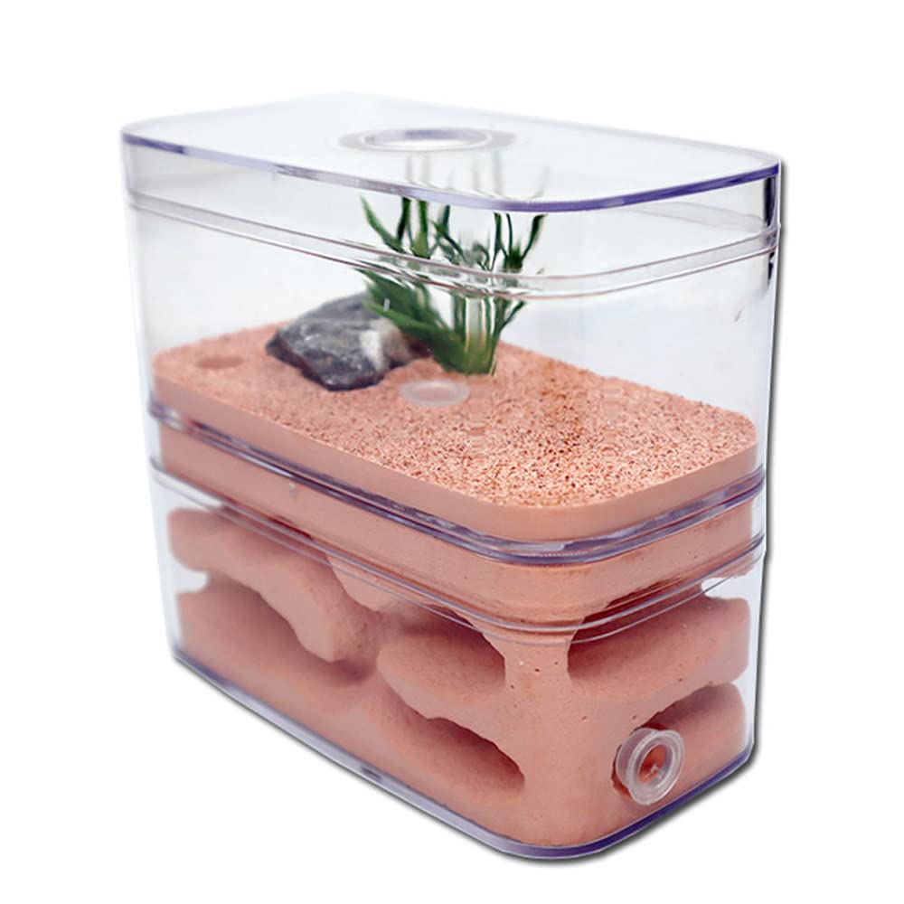 ACSUZ Highly Moisturizing Ant Farm Plaster Nest Insect Box With Workshop Pet Anthill Castle Natural Ecological House
