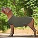 Hjumarayan Hundepullover Grosse Hunde - Hundeshirt Dünn Hunde Pullover Sonnenschutz Tshirt Elastisch Hundepulli Gestreifte Shirt Pullis für Mittelgroße Labrador (Grün XL)