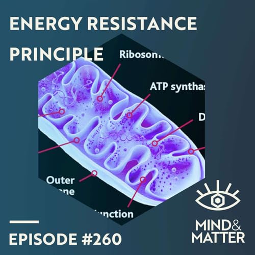 Energy Resistance Principle in Life, Healing & Disease | Martin Picard & Nirosha Murugan | 260 Podcast Por  arte de portada
