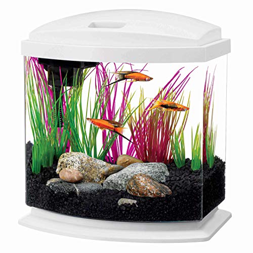 Aqueon LED MiniBow Aquarium Kit White 2.5 Gallons