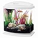 Aqueon LED Minibow Aquarium Starter Kits with LED Lighting, 2.5 Gallon, White