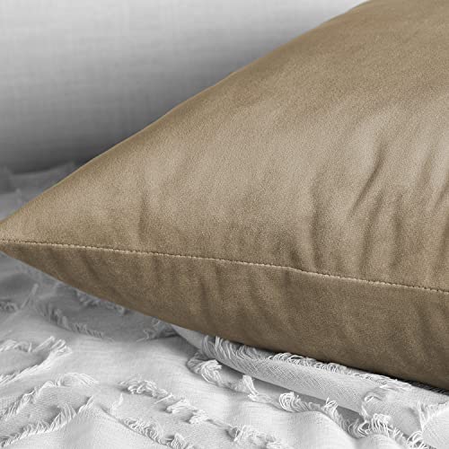 Image of HPD Half Price Drapes Cushion Cover 18 x 18 Heritage Plush Velvet - VPYC-190153-CC18PR - Pair, Museum Taupe